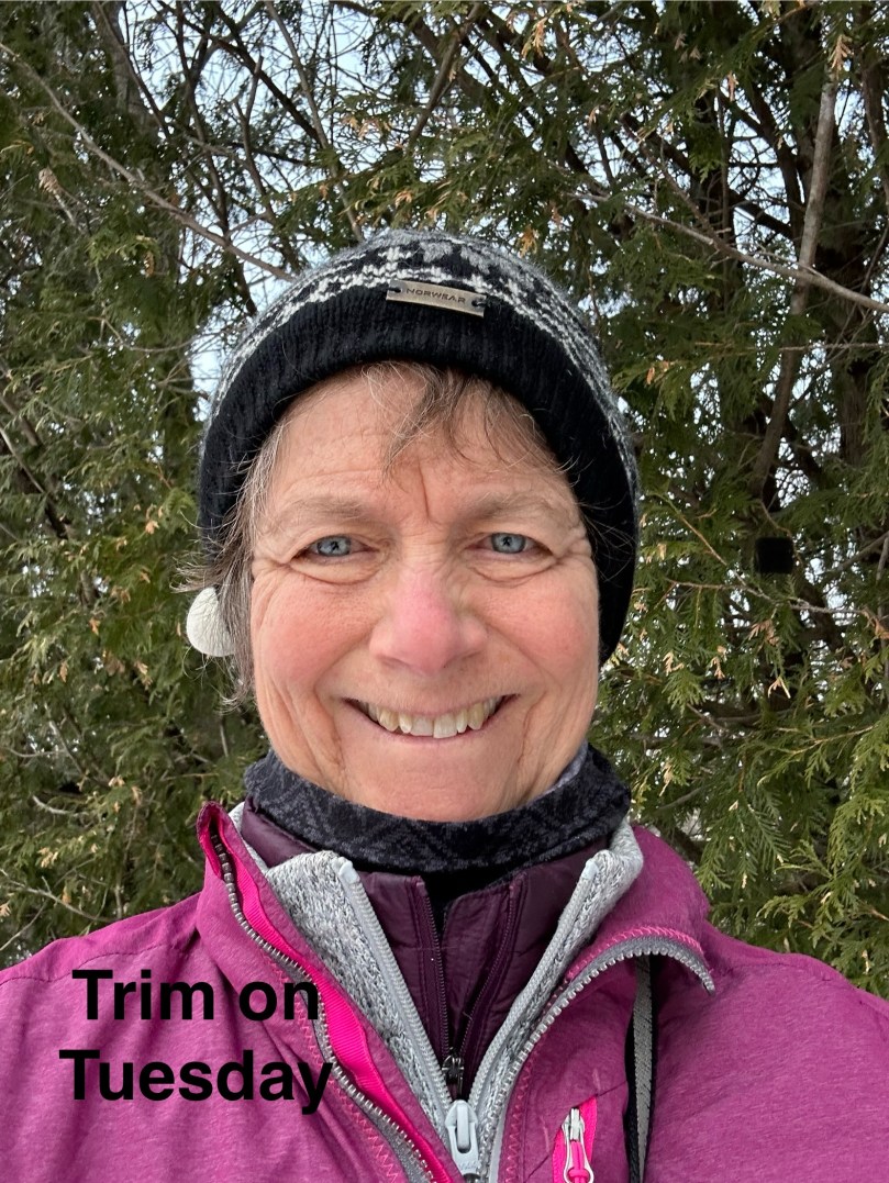 Trim on Tuesday | 100DayProject Day 10 | Card 6 | Spellbinders Door&nbsp;24