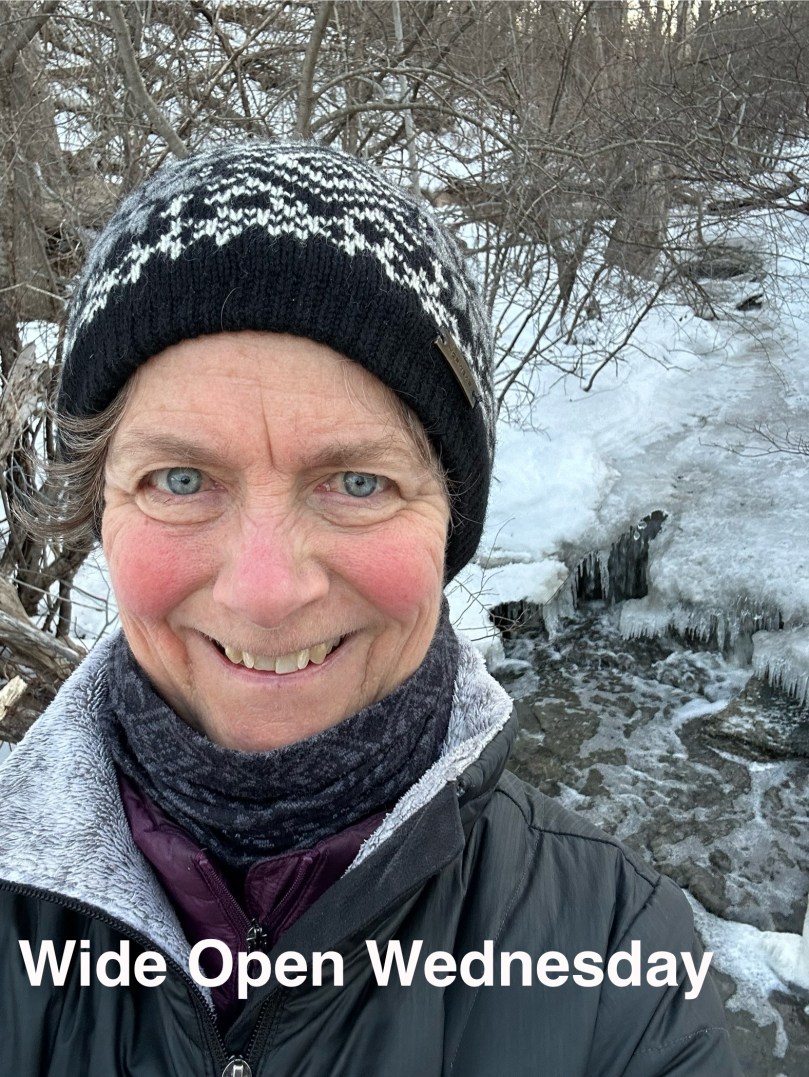 Wide Open Wednesday | Day 18 of my&nbsp;100DayProject