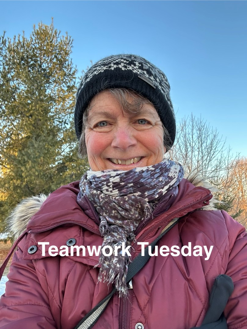 Teamwork Tuesday | 100DayProject Day&nbsp;24
