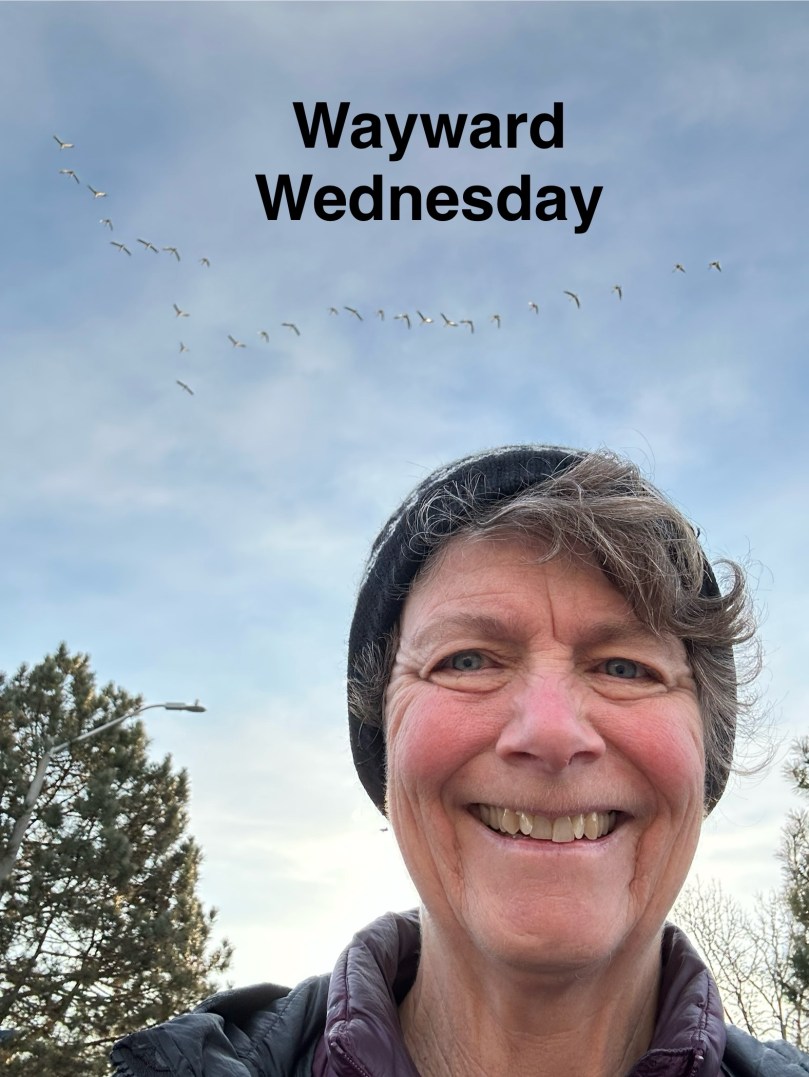 Wayward Wednesday | 100DayProject Day&nbsp;25