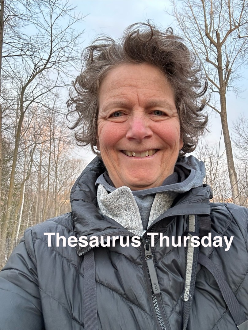 Thesaurus Thursday | 100DayProject Day&nbsp;26
