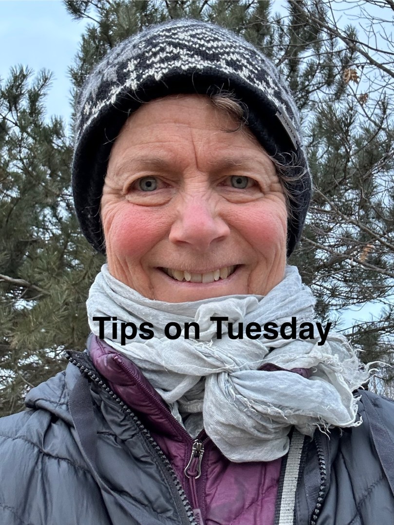 Tips on Tuesday | 100DayProject Day&nbsp;31