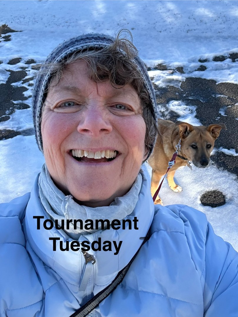 Tournament Tuesday | 100DayProject Day 38 | started Card&nbsp;28