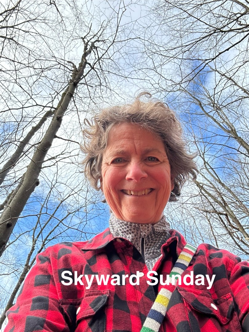 Skyward Saturday | 100DayProject Day&nbsp;43