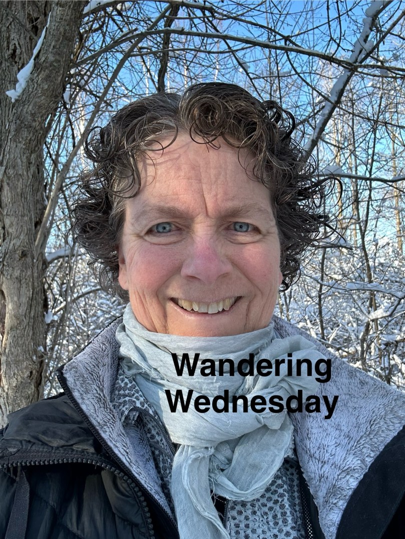 Wandering Wednesday | 100DayProject Day&nbsp;45