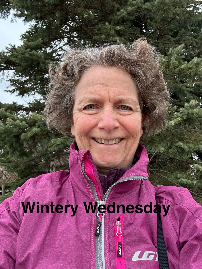 Wintery Wednesday | 100DayProject Day 53 | Card 32 | Card&nbsp;33a+b+c