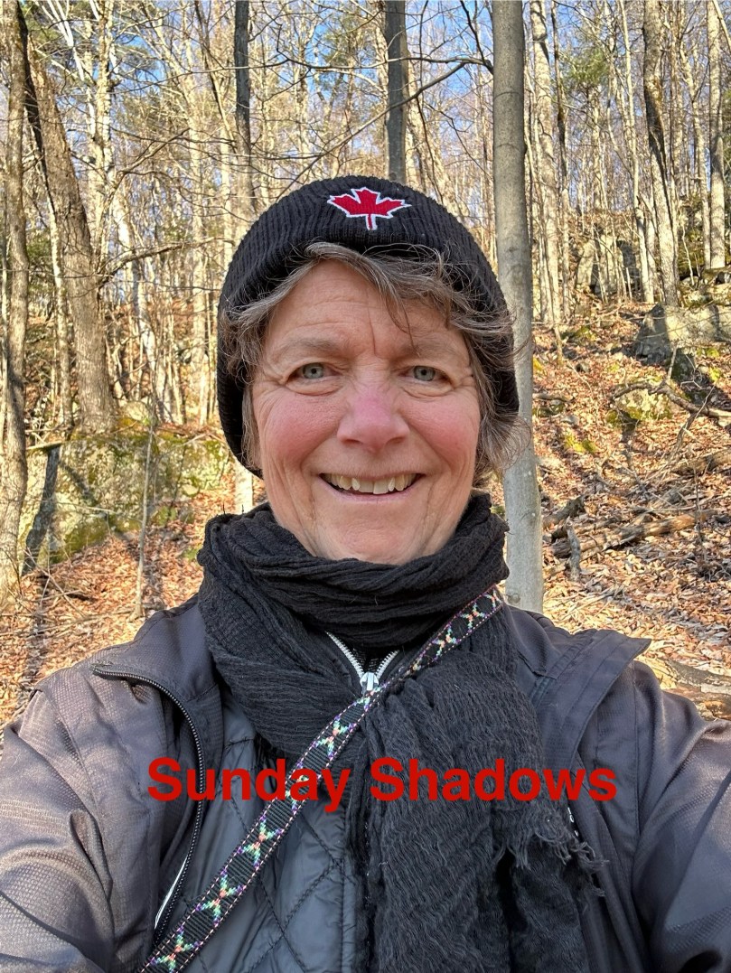 Shadows on Sunday | 100DayProject Day 57 | Card 38 | Card 39 | Card&nbsp;40a+b