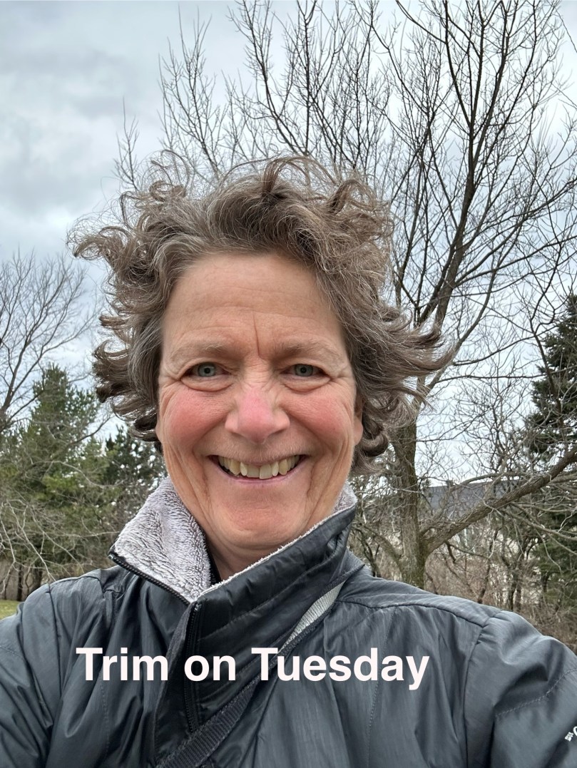 Trim on Tuesday 100DayProject Day 59 | Card&nbsp;42a+b