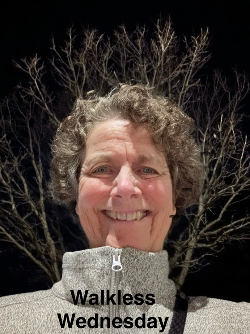 Walkless Wednesday | 100DayProject Day 60 | Card&nbsp;43a+b